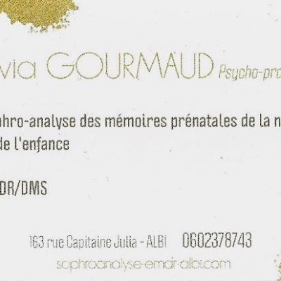 Olivia GOURMAUD - Psychothérapie EMDR/DMS Intégrative et Thérapie Holistique